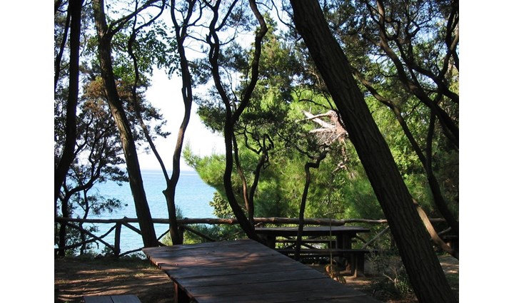 Kamp Zidine 2